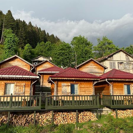 Pilita Bungalov&Rest Ayder Yaylasi Zewnętrze zdjęcie