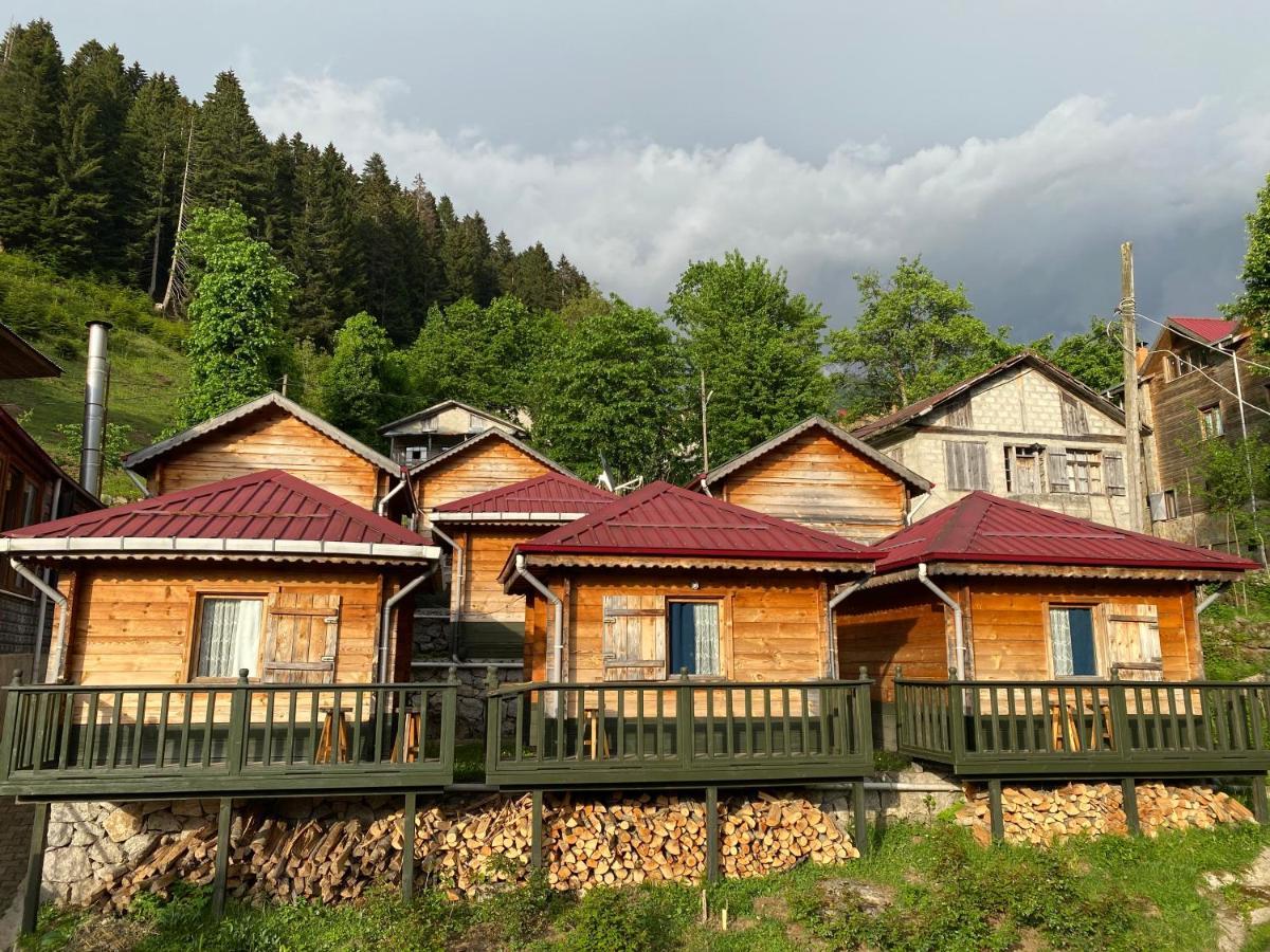 Pilita Bungalov&Rest Ayder Yaylasi Zewnętrze zdjęcie