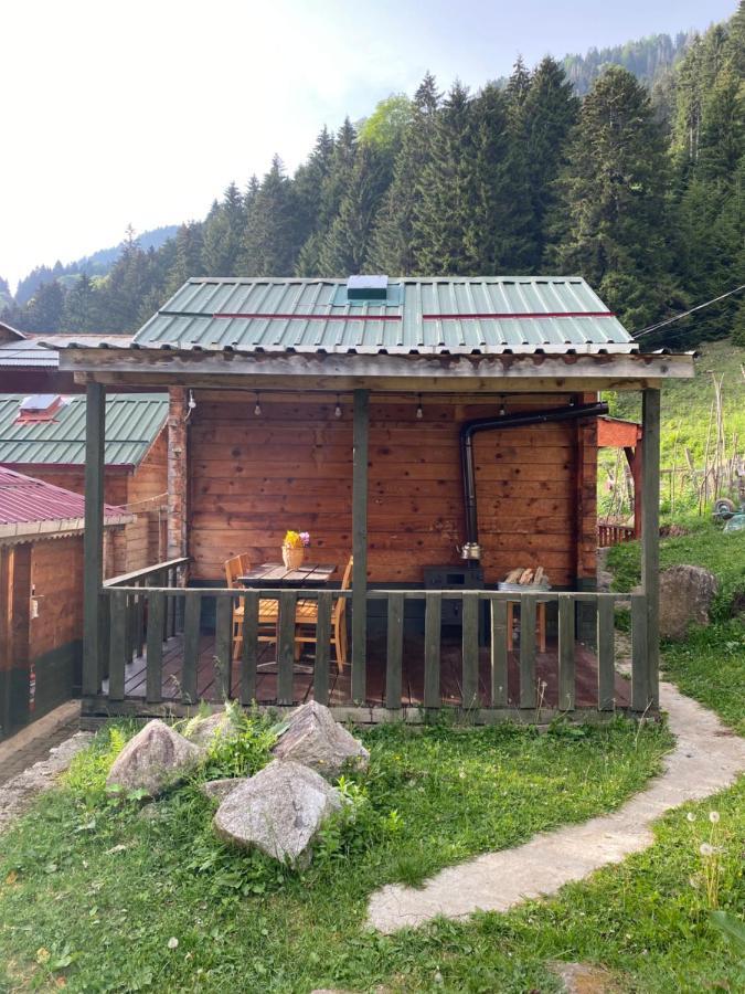 Pilita Bungalov&Rest Ayder Yaylasi Zewnętrze zdjęcie