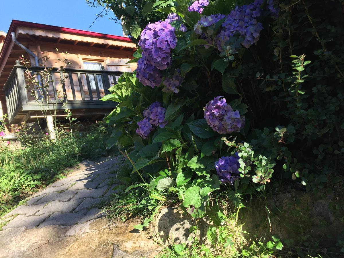 Pilita Bungalov&Rest Ayder Yaylasi Zewnętrze zdjęcie