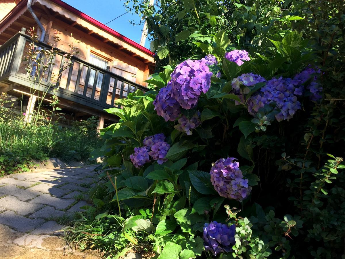 Pilita Bungalov&Rest Ayder Yaylasi Zewnętrze zdjęcie